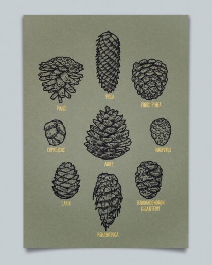 Zapfen - Gold (Natural Green, A4)