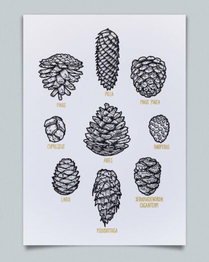 Zapfen - Gold (Weiß, A4)