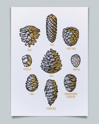 Zapfen - Gold schattiert (Weiß, A4)