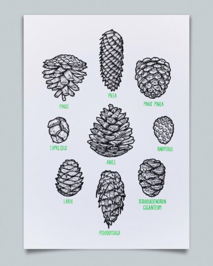 Zapfen - Grün (Weiß, A4)