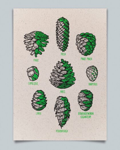 Zapfen - Grün schattiert (Graspapier, A4)
