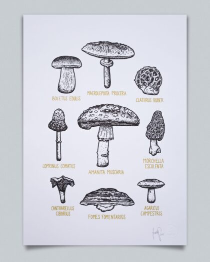Ein Siebdruck im Hochformat mit einer wissenschaftlichen Illustration von neun verschiedenen Pilzarten. Die Pilze sind in detaillierten Schwarz-Weiß-Strichzeichnungen dargestellt und symmetrisch auf einer weißen Oberfläche angeordnet. Unter jeder Abbildung steht der botanische Name in kleiner, goldener Schrift. Zu sehen sind unter anderem der Gemeine Steinpilz (Boletus Edulis), Parasol (Macrolepiota Procera), der Rote Gitterling (Clathrus Ruber), Schopftintling (Coprinus Comatus), der Fliegenpilz (Amanita Muscaria), die Speisemorchel (Morchella Esculenta), der Pfifferling (Cantharellus Cibarius), Zunderschwamm (Fomes Fomentarius) und der Wiesenchampignon (Agaricus Campestris).
