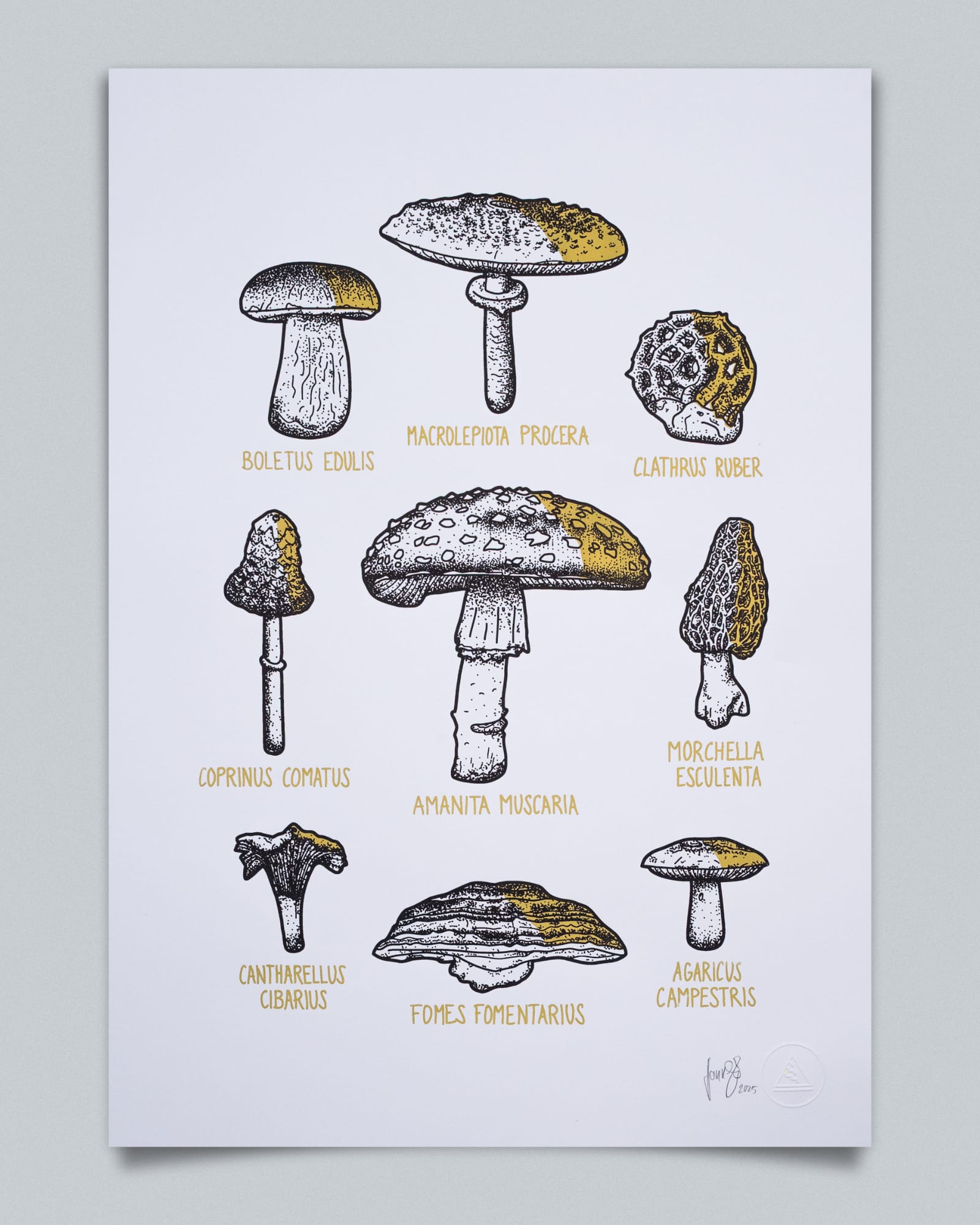 Ein Siebdruck im Hochformat mit einer wissenschaftlichen Illustration von neun verschiedenen Pilzarten. Die Pilze sind in detaillierten Schwarz-Weiß-Strichzeichnungen dargestellt und symmetrisch auf einer weißen Oberfläche angeordnet. Unter jeder Abbildung steht der botanische Name in kleiner, goldener Schrift. Zu sehen sind unter anderem der Gemeine Steinpilz (Boletus Edulis), Parasol (Macrolepiota Procera), der Rote Gitterling (Clathrus Ruber), Schopftintling (Coprinus Comatus), der Fliegenpilz (Amanita Muscaria), die Speisemorchel (Morchella Esculenta), der Pfifferling (Cantharellus Cibarius), Zunderschwamm (Fomes Fomentarius) und der Wiesenchampignon (Agaricus Campestris).