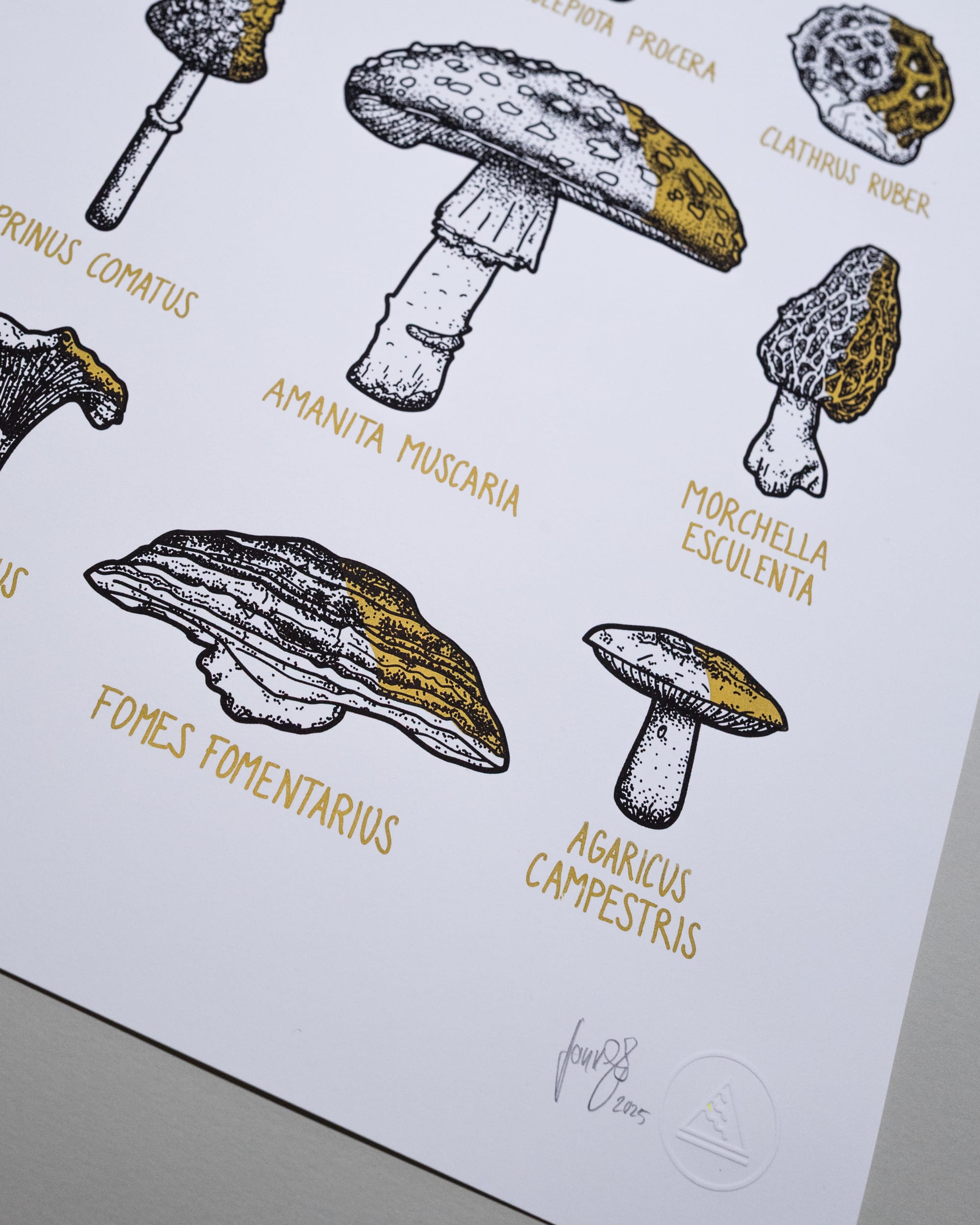 Pilze - Gold schattiert (A3) – Bild 7