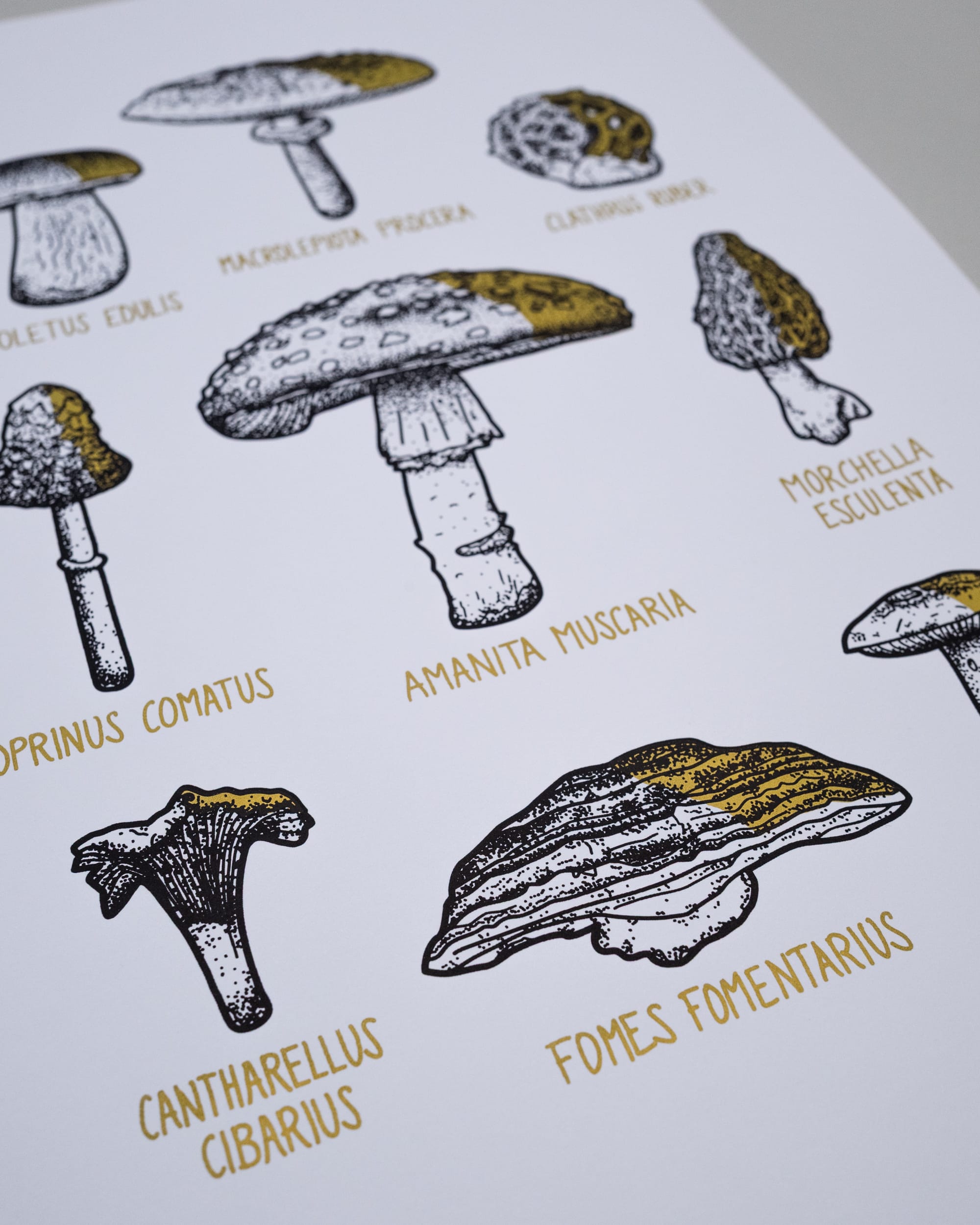 Pilze - Gold schattiert (A3) – Bild 6