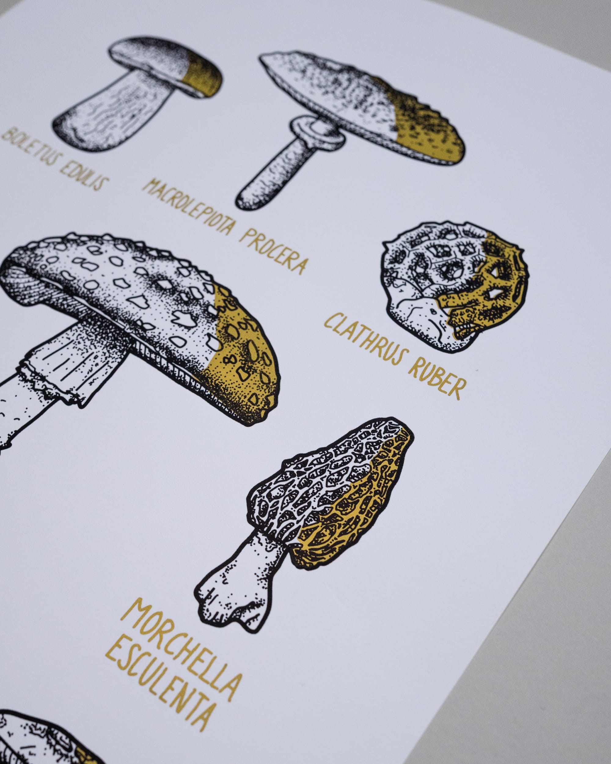 Pilze - Gold schattiert (A3) – Bild 5