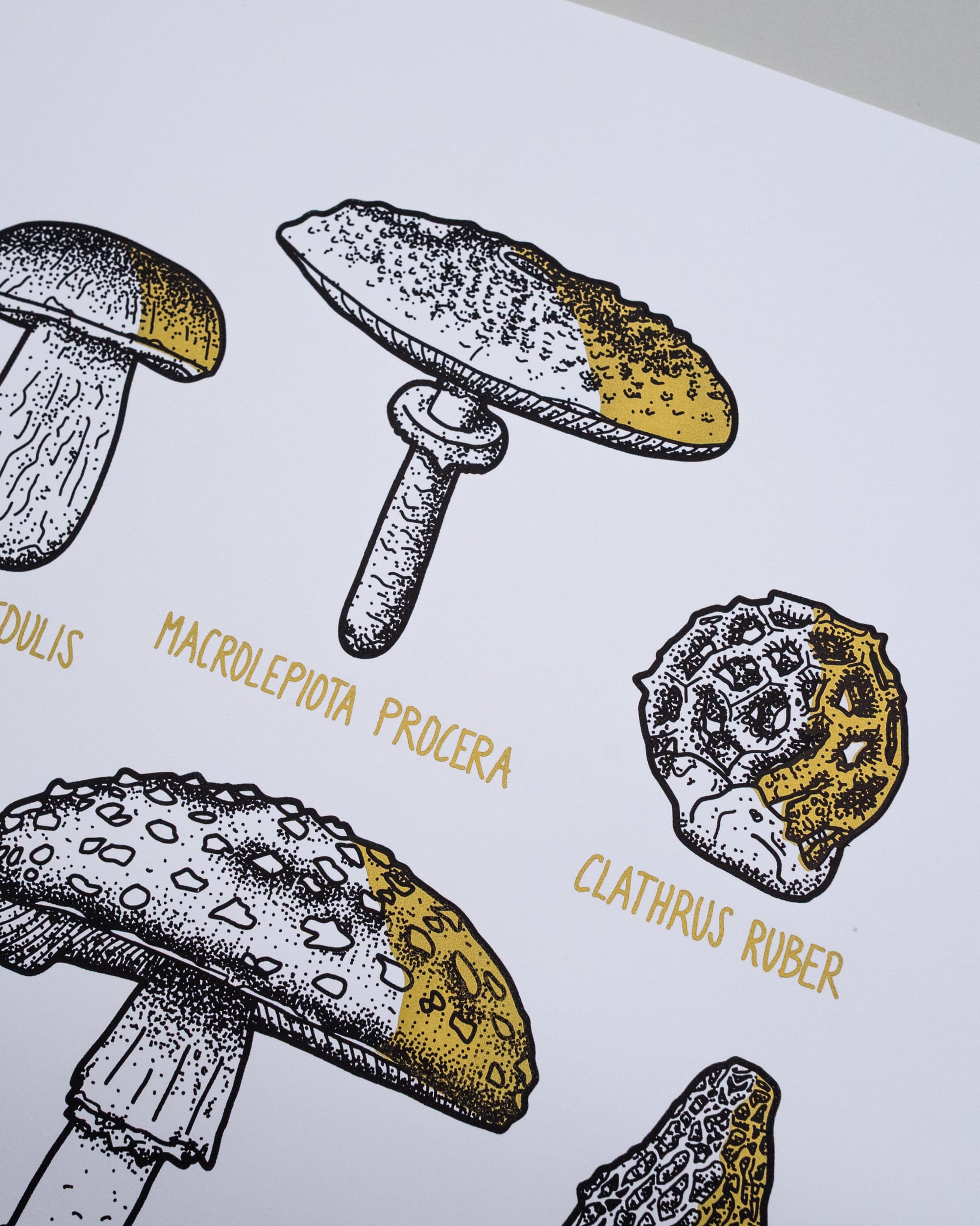 Pilze - Gold schattiert (A3) – Bild 4