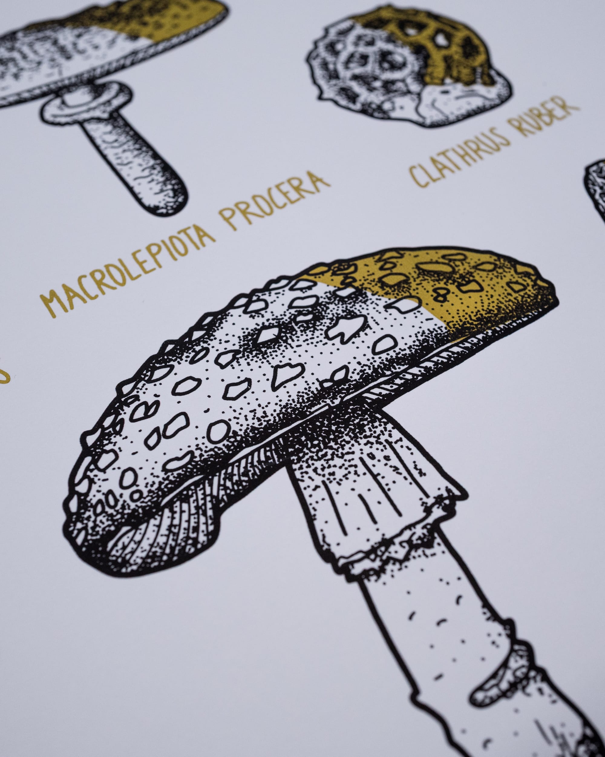 Pilze - Gold schattiert (A3) – Bild 3