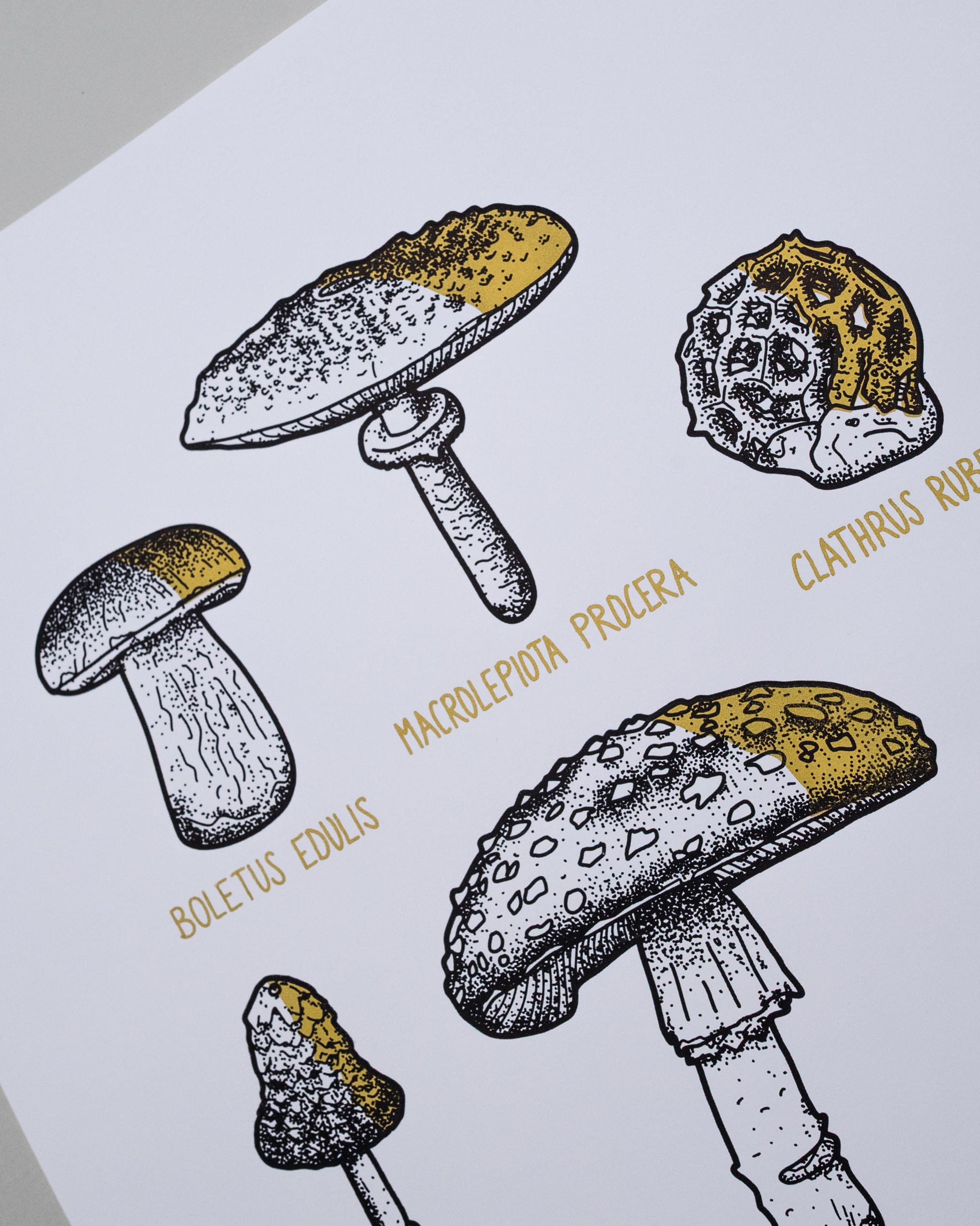 Pilze - Gold schattiert (A3) – Bild 2